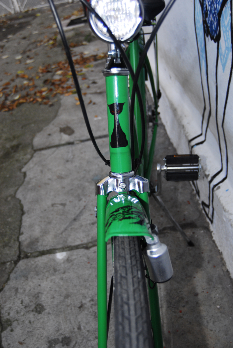 bici verde - pisi fata O pisică rea şi cu ochi roşii