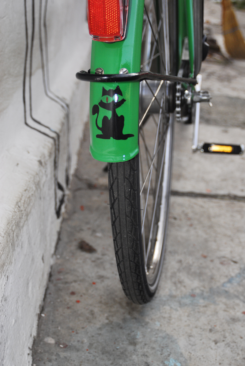 bici verde - pisi spate Şi o altă pisică, mai binevoitoare
