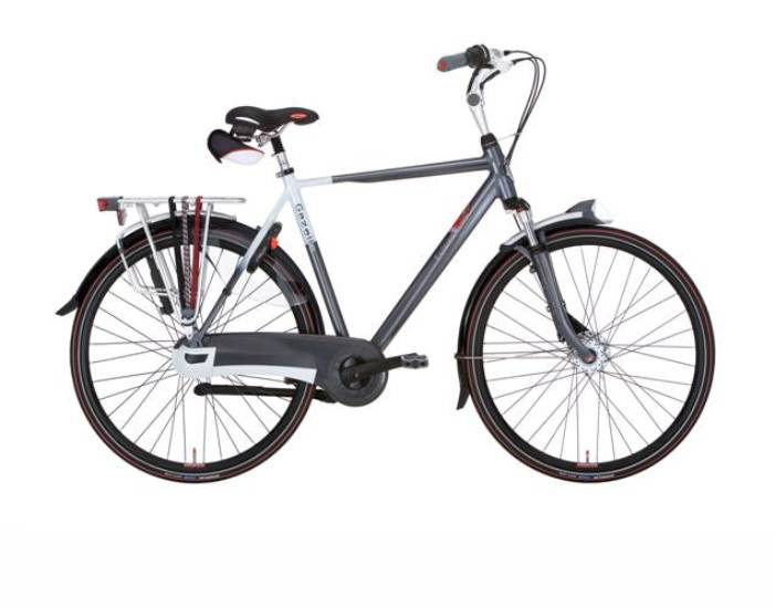 gazelle eclipse baieti