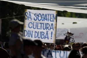 cultura din duba