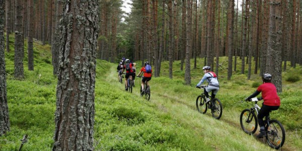 biciclete mountain bike