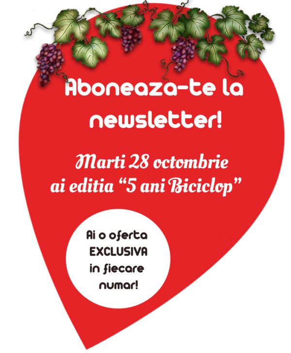 abonare newsletter biciclop abonare newsletter biciclop