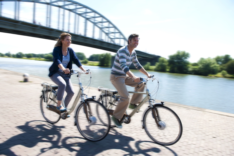 Gazelle-Innergy-bicicleta-electrica