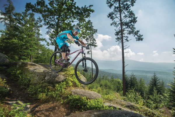 Biciclete Arkus& Romet Group
