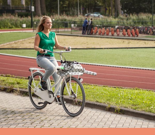 Gazelle Puur 2016
