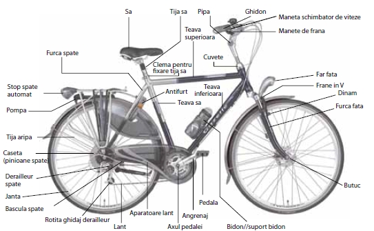 Componente bicicleta 2