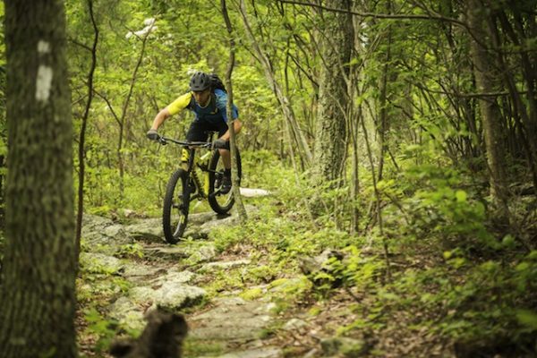 Trasee cu bicicleta Bihor Trasee cu bicicleta Bihor