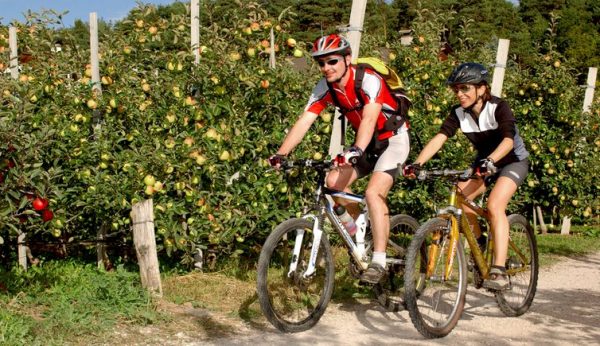 Traseu pentru bicicleta MTB Traseu pentru bicicleta MTB