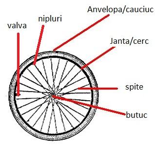 Componentele principale ale rotii de bicicleta