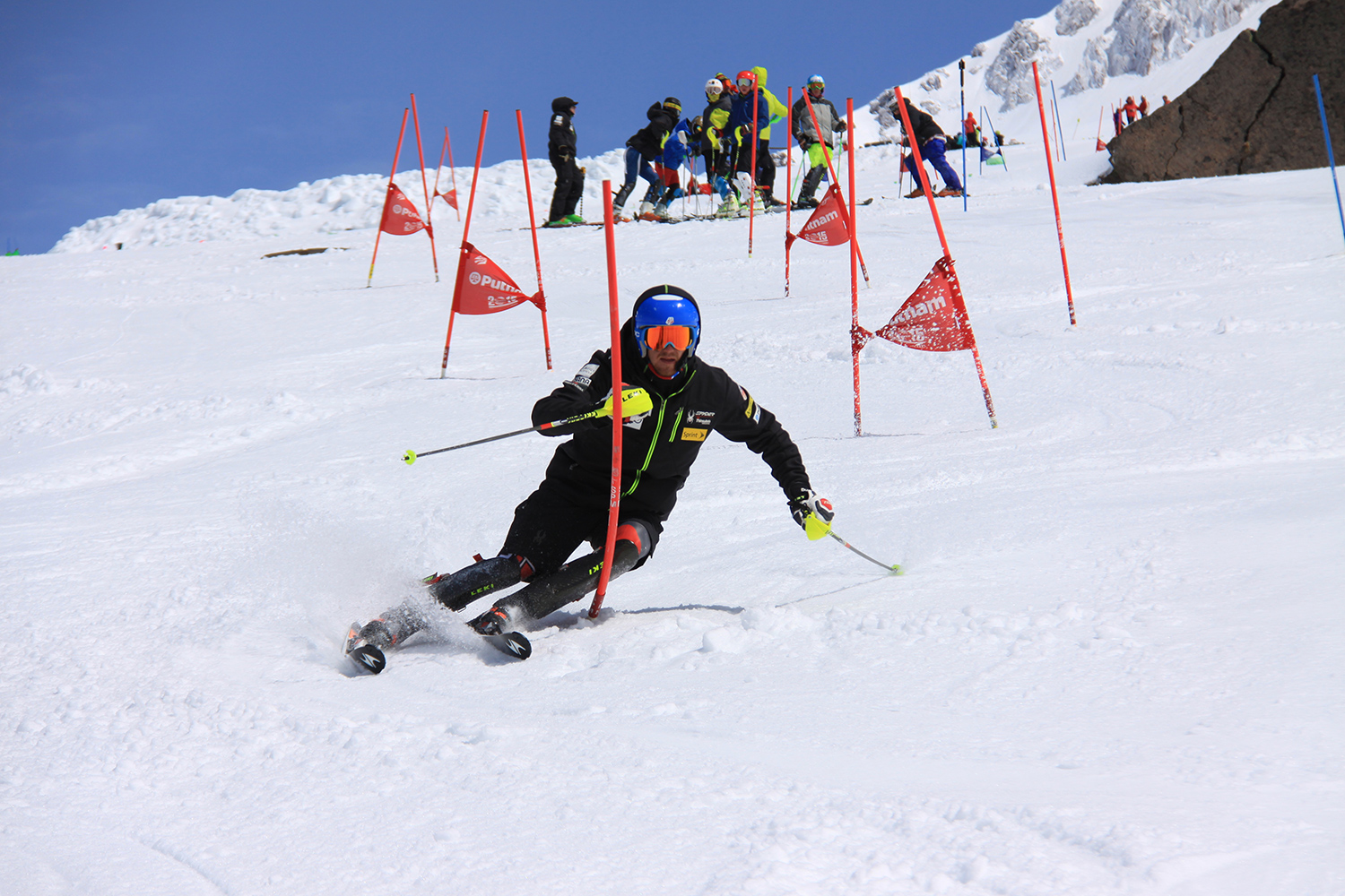 Stiluri de schi - Slalom special