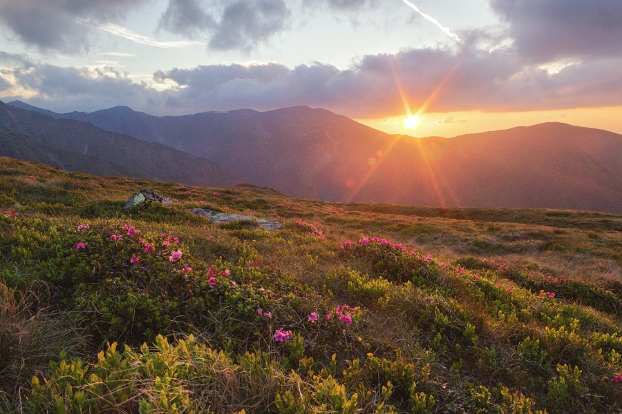 Trasee montane Fagaras Varful Urlea
