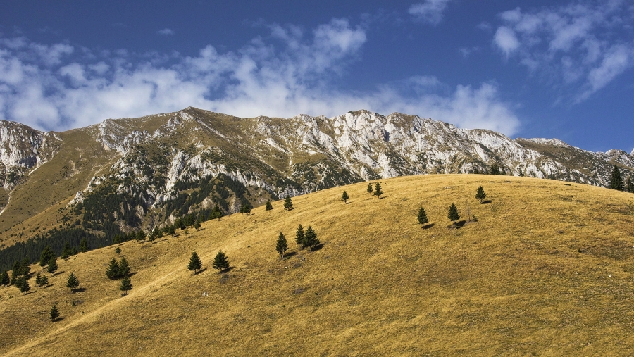 Trasee mountain-bike Piatra Craiului