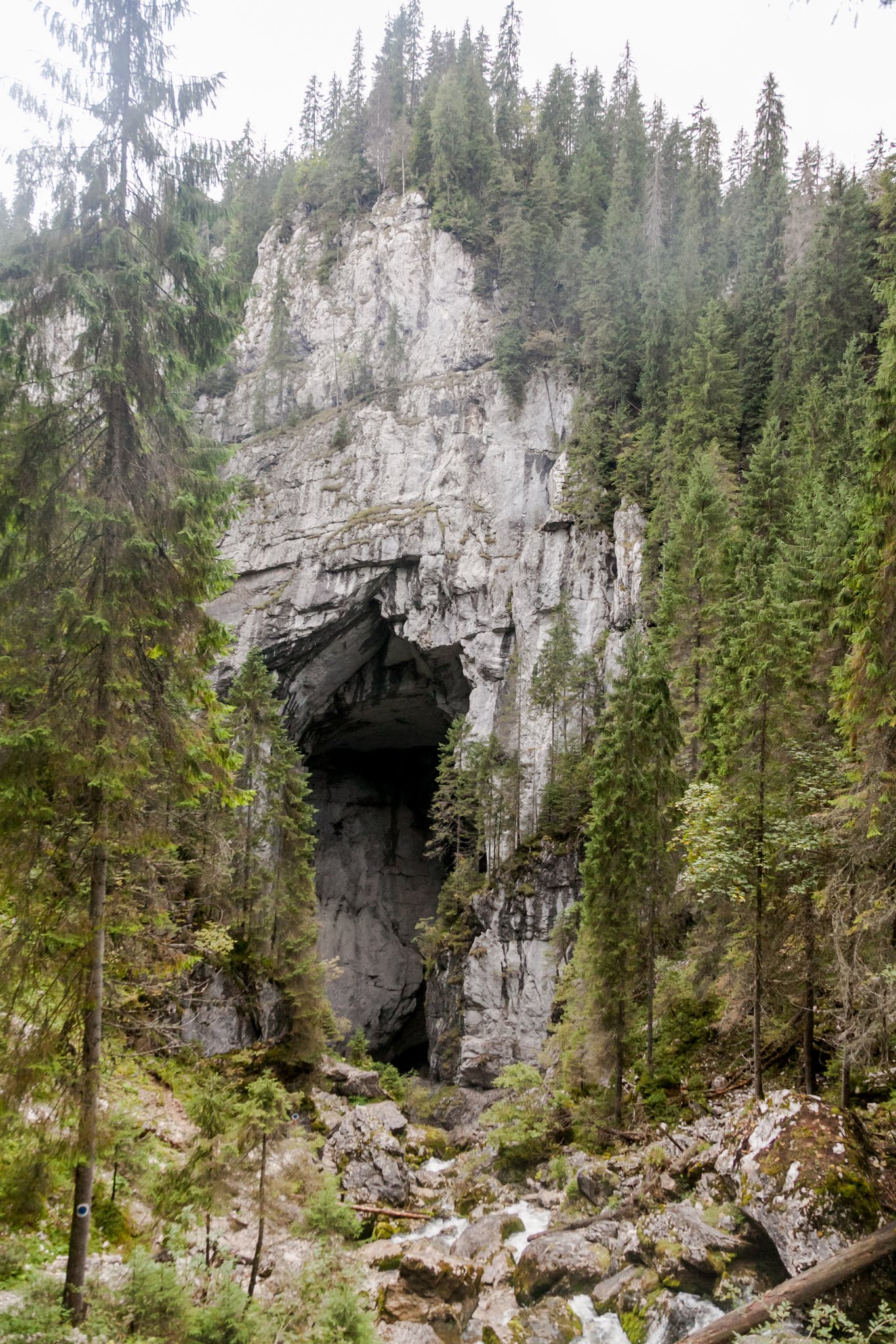 Trasee montane Muntii Apuseni